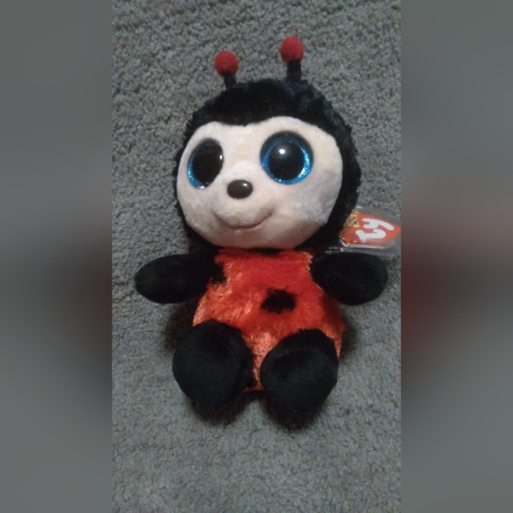 Rare Izzy The Ladybug Beanie Boo